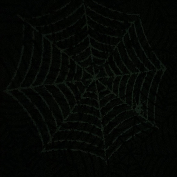 NWT!  CYNTHIA ROWLEY CURIOUS GLOW IN THE DARK SPIDERWEB HALLOWEEN TABLE RUNNER - Picture 10 of 11